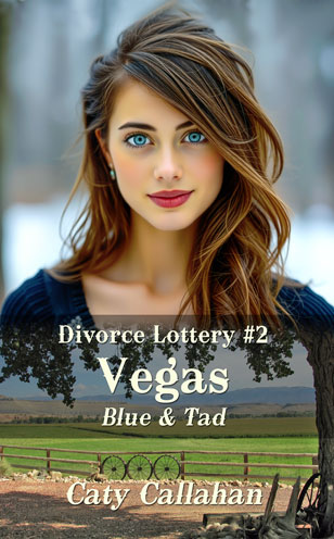 Divorce Lottery 2 Vegas by Caty Callahan, wholesome romances for couples